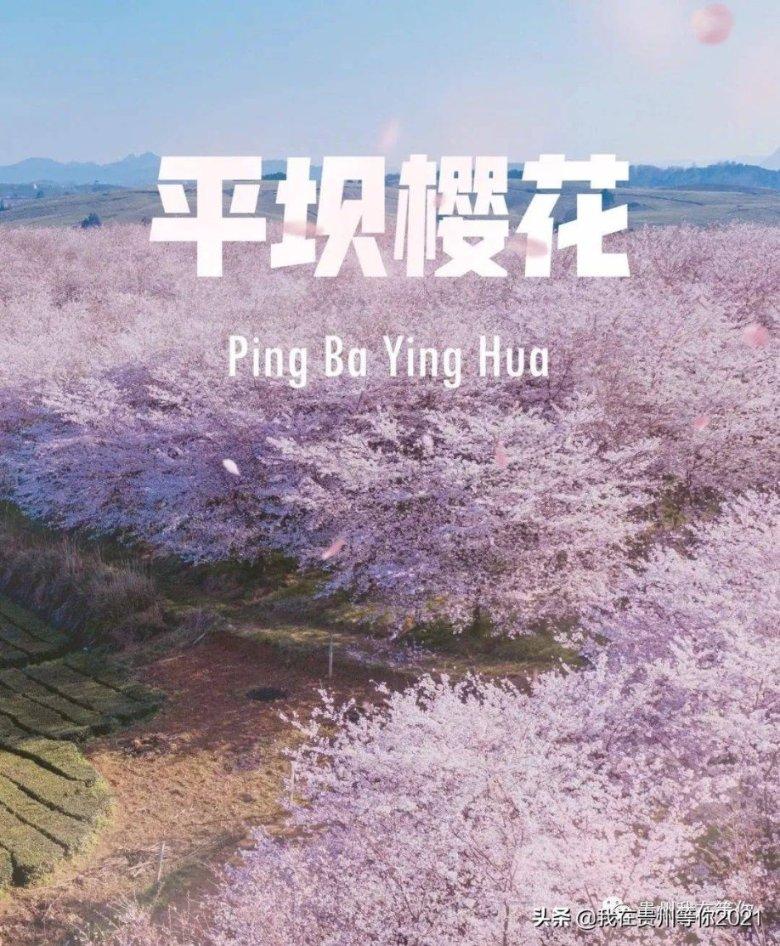 电话图标不见了怎么办？游戏画面