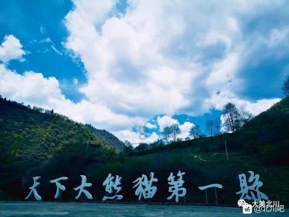 僵尸粉碎机